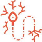 diabetic neuropathy